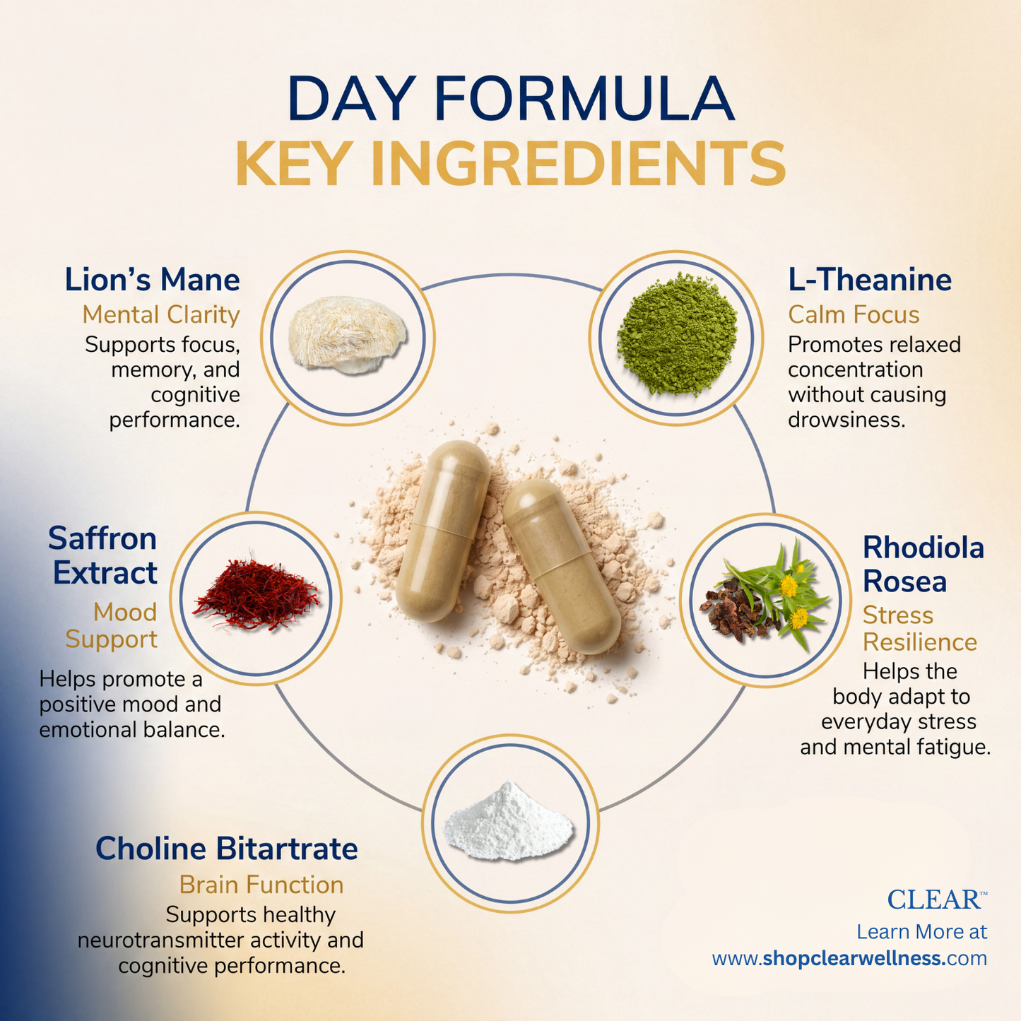 Day & Night THC Withdrawal Support Kit